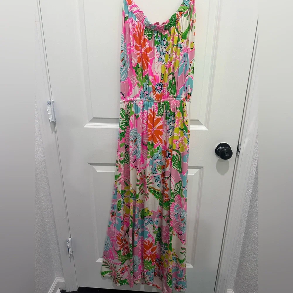 Lilly Pulitzer Nosy Posy dress Vibrant Floral Maxi Dress - Pink & Green - Picture 5 of 5